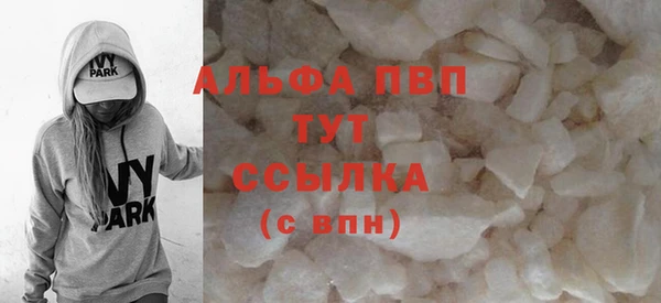 прущие грибы Зеленокумск