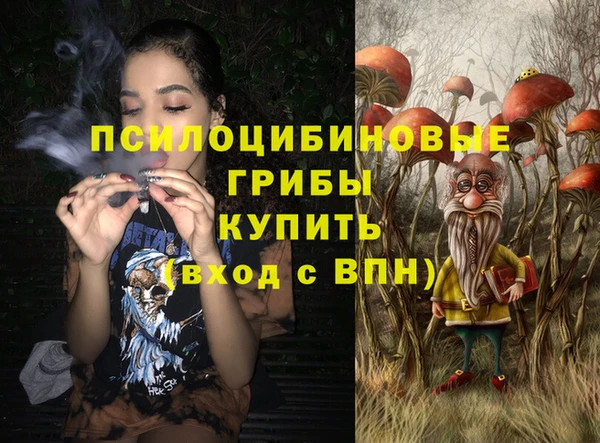 хмурый Каменка