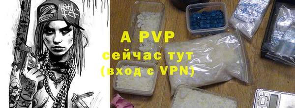 ECSTASY Каменногорск