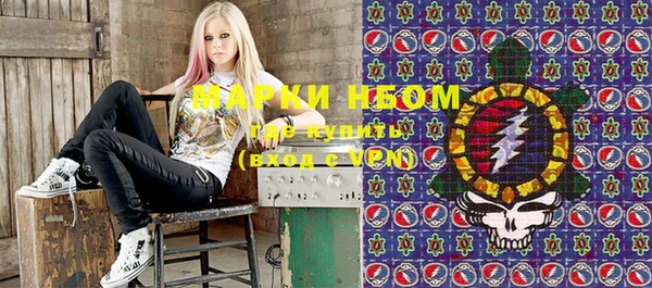 прущие грибы Зеленокумск