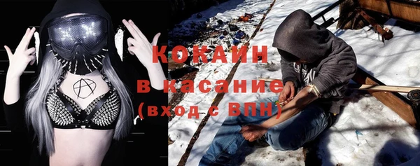 дурь Инсар