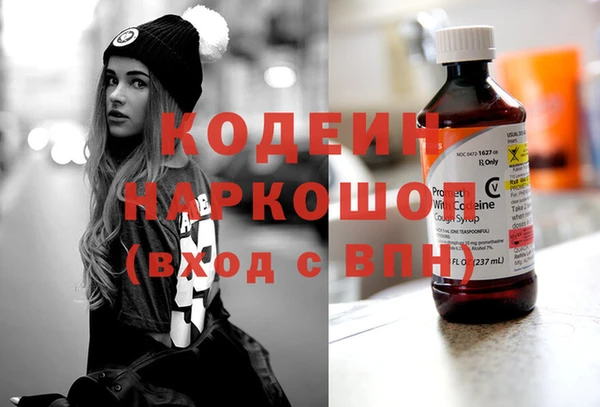 хмурый Каменка