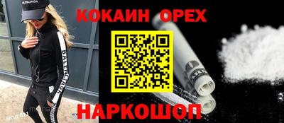 крисы Краснознаменск