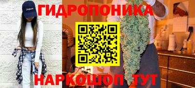 крисы Краснознаменск