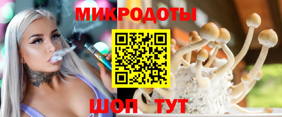 Галлюциногенные грибы Cubensis Красноармейск