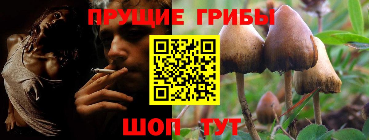 Красноармейск  Галлюциногенные грибы мицелий  Вход с VPN 